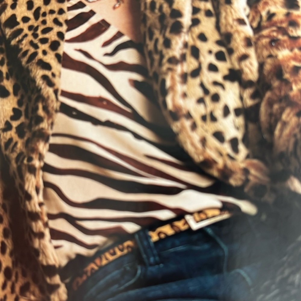 Cabi Zebra Top